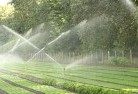 Heathpoollandscaping-water-management-and-drainage-17.jpg; ?>